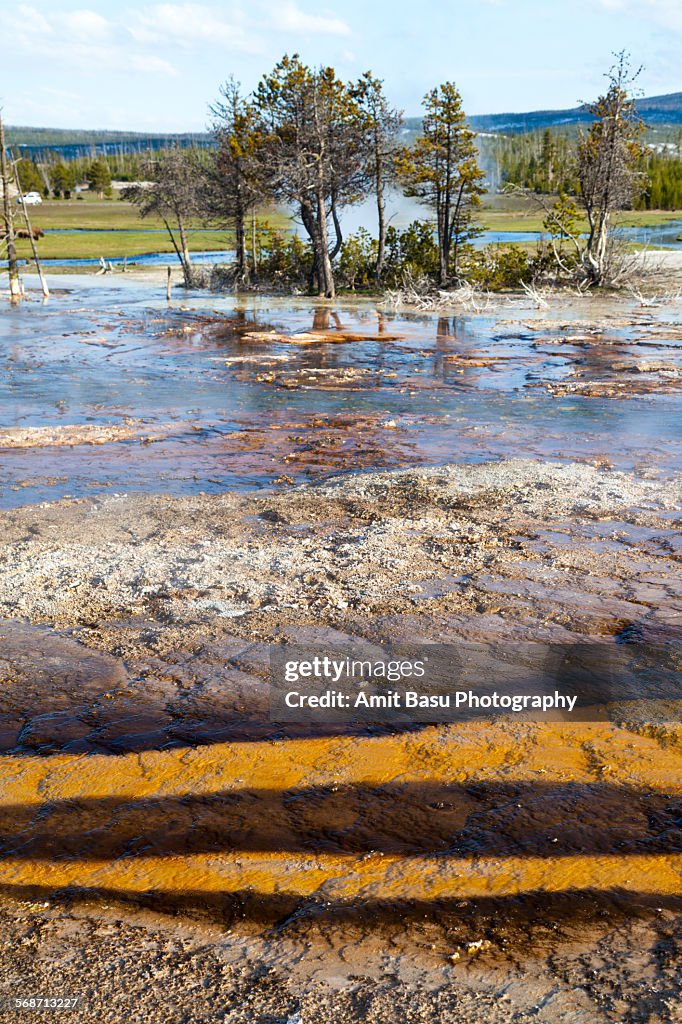 Colorful thermal pool at Yellowstone National Park