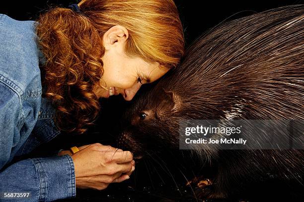 Stephanie Derkasch, assistant supervisor of the special animals exhibits at the Bronx Zoo, gets close to a porcupine Stickers on August 10, 2005 in...