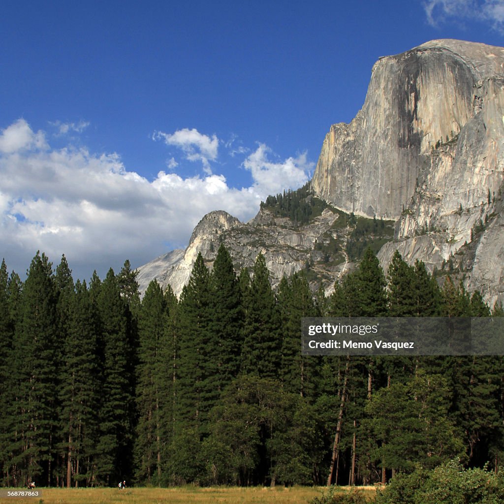 Yosemite National Park