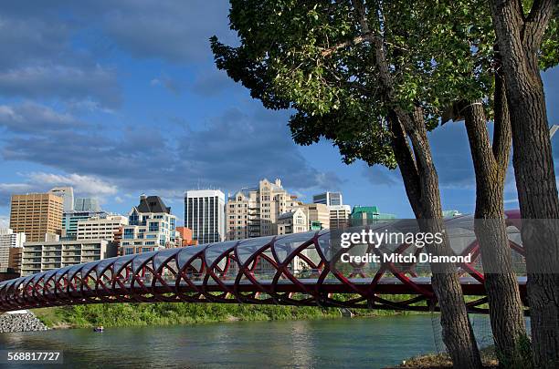 calgary peace bridge - calgary bridge stock pictures, royalty-free photos & images