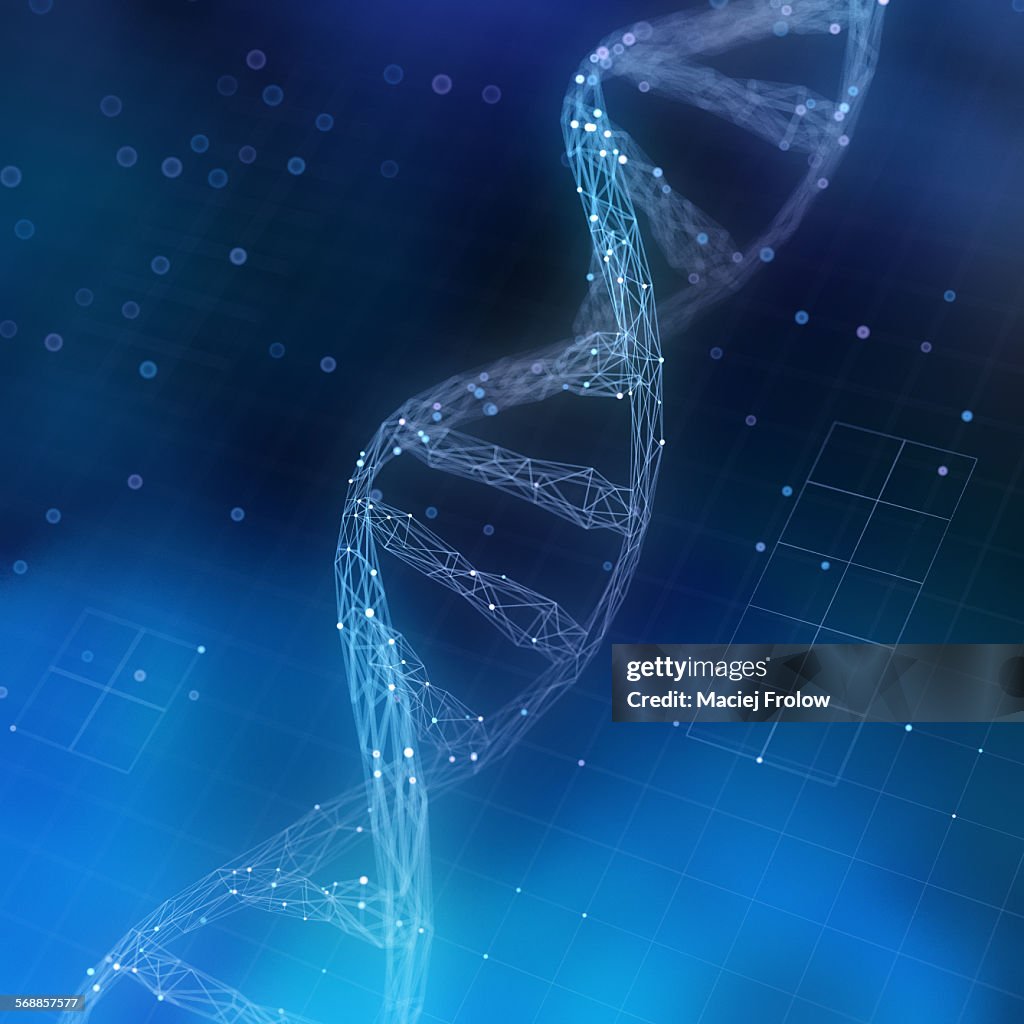 Computer representation of DNA chain