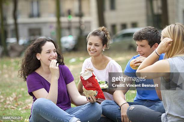 a teen group making a picnic in a park - vincent young stock pictures, royalty-free photos & images