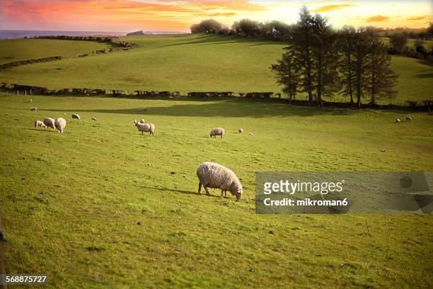 Scenics Irish landscape