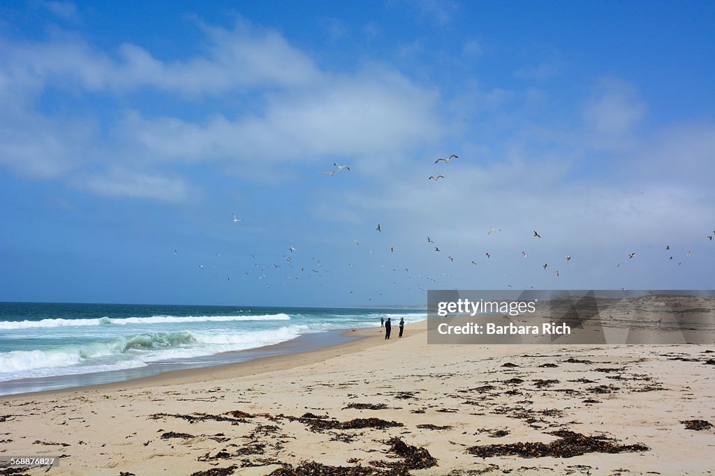 Sandy beach and clouded blue sky on Monterey Bay