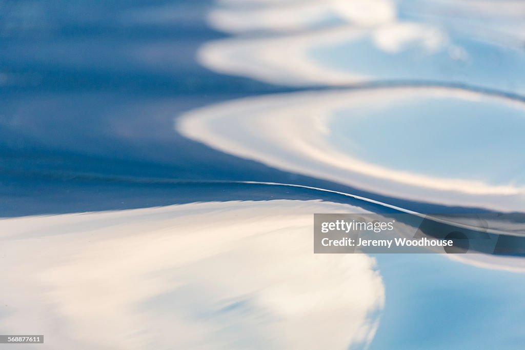 Textures in Dal Lake