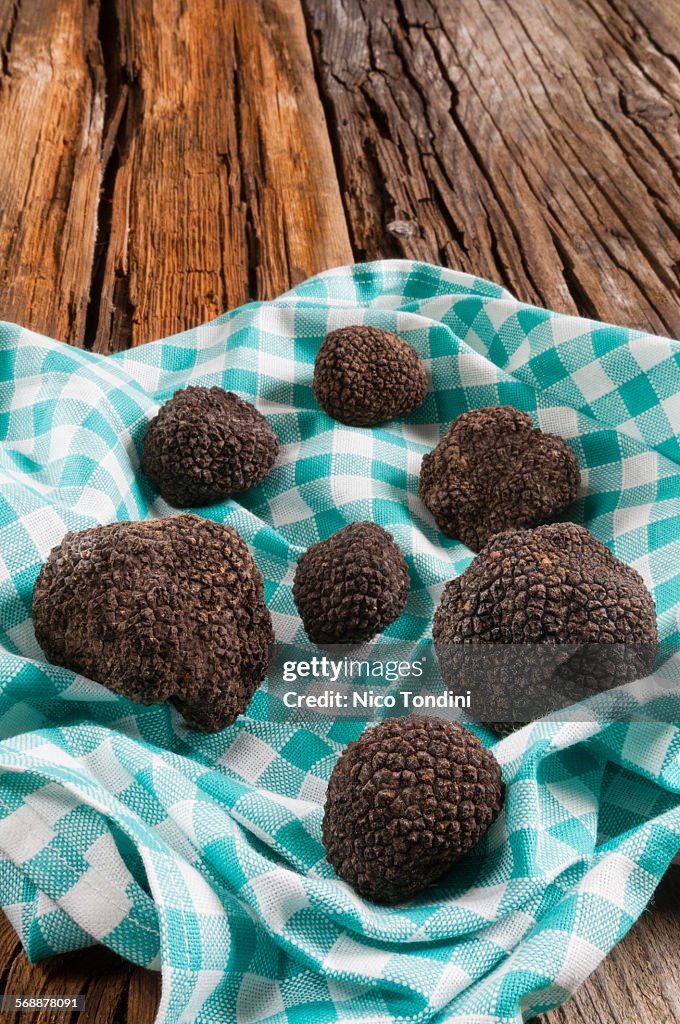 Summer black truffles