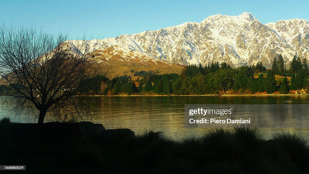 Otago winter landscape