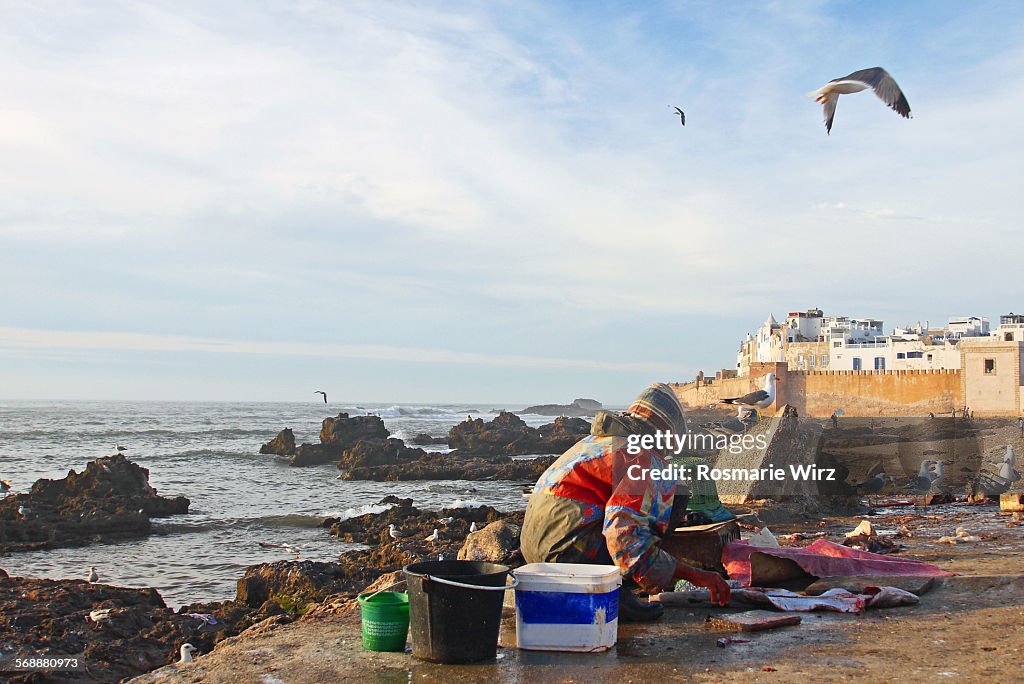 Essaouira harbour area