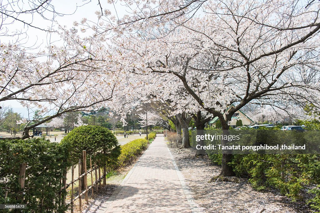 Agatanomori Park, Matsumoto City.