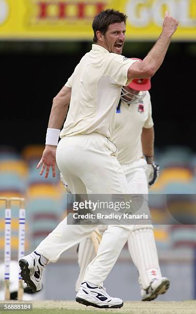 Michael Kasprowicz of the Bulls claims a wicket during day two of the Pura Cup match between the Queensland Bulls and the South Australian Redbacks...