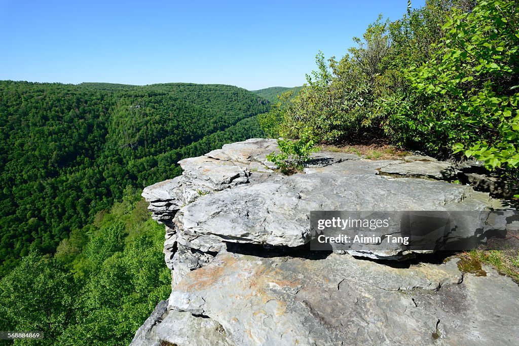 Scenery of Lindy Point Overlook