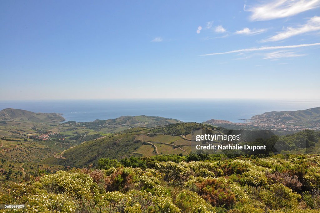 Baie de Banyuls sur Mer