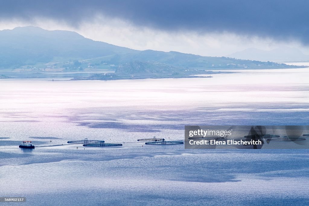 Salmon Farm in morning light, Norway