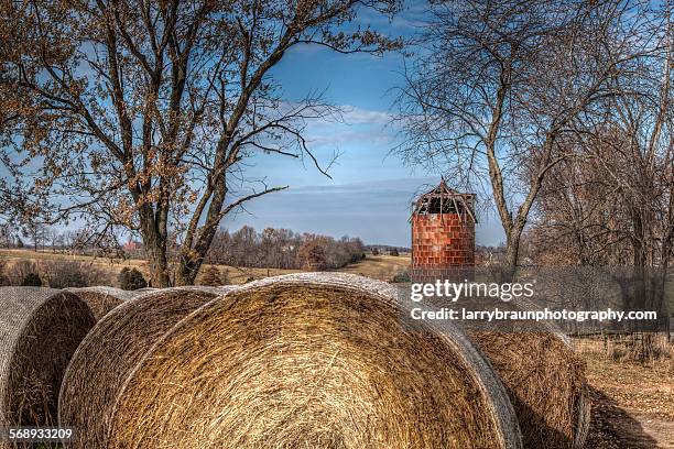 hay bales and silo - cape girardeau stock pictures, royalty-free photos & images