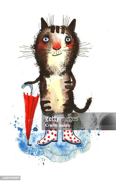the rainy cat - ozozo stock pictures, royalty-free photos & images