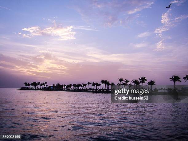 hurghada sunshine - hussein52 stock pictures, royalty-free photos & images