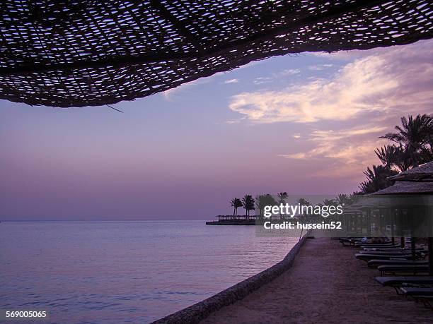 hurghada, chairs on beach - hussein52 stock pictures, royalty-free photos & images