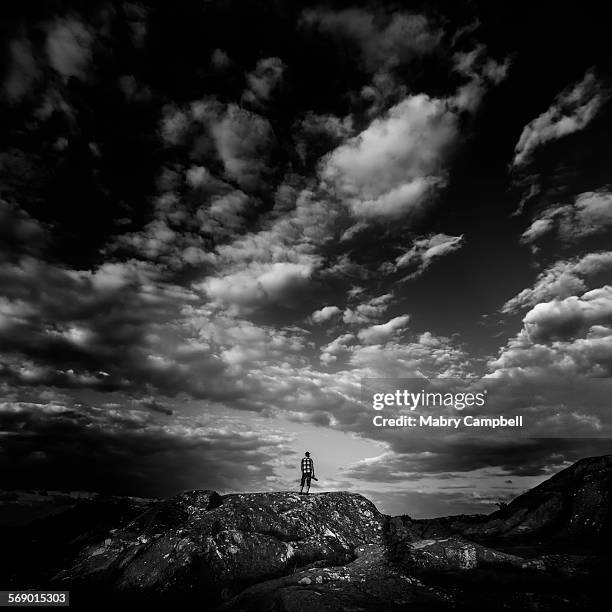 a man stands in front of a dramatic sky - göteborg silhouette bildbanksfoton och bilder