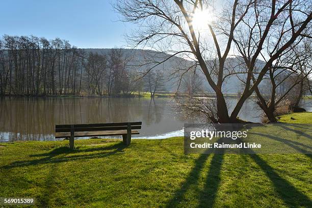river main with bench and sun in spring - laudenbach stockfoto's en -beelden