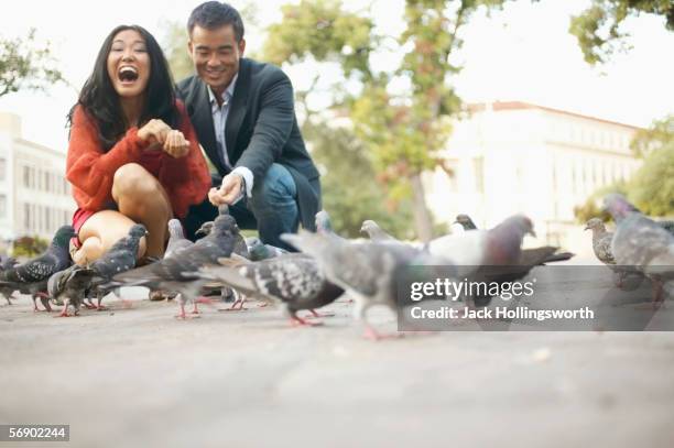 young couple feeding pigeons - tauben füttern stock-fotos und bilder