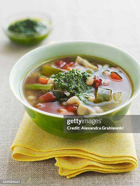 vegetable soup au pistou - sopa de verduras fotografías e imágenes de stock