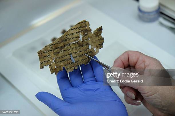 Worker of the Israeli Antiquity Authority sews fragments of the Dead Sea scrolls which includes biblical verses in a preservation laboratory of the...