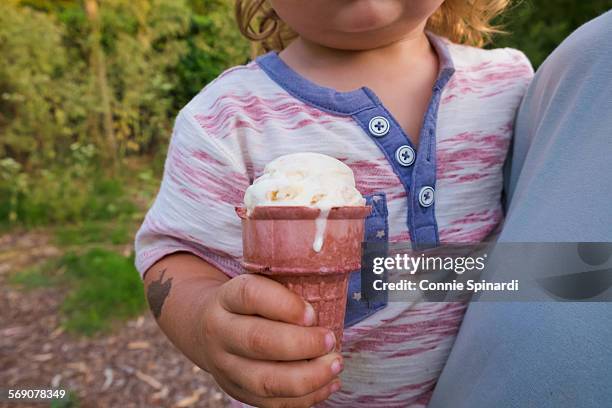 national ice cream month - snickerdoodle stock-fotos und bilder