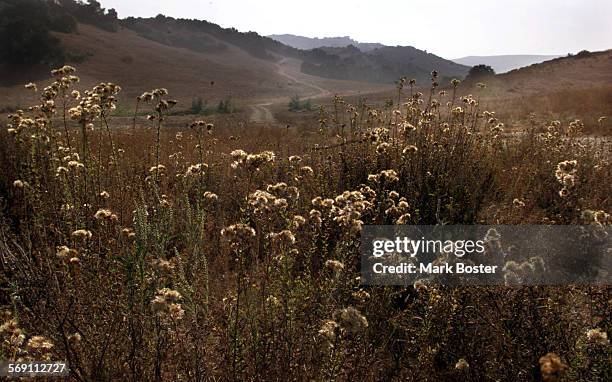 According to a study released wednesday by the Endangered Habitats League, the Rancho Mission Viejo area in Southern Orange County is a "biodiversity...