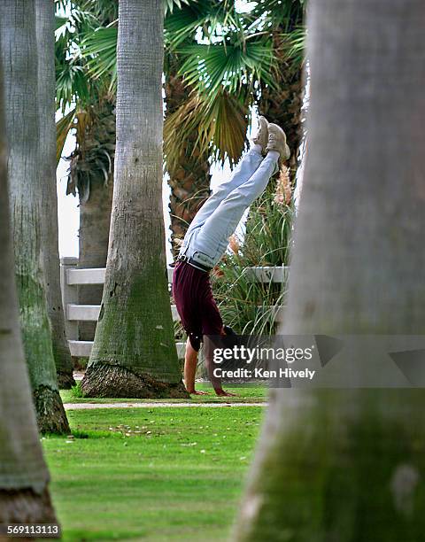 Amoung giants, a man does a hand stand during exercise with palm trees close by at Palisades Park in Santa Monica, September 2001.