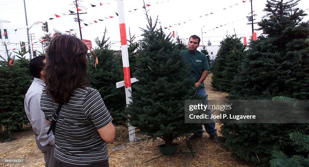 Robert McBroom co owner of Rob and Cathy's Christman Trees on Nordoff St and DeSoto Ave in Chatswort