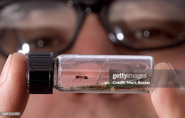 Keith Bow, Zone Coordinator with the Orange County Fire Ant Authority held a vial containing several fire ants captured from one of several mounds...