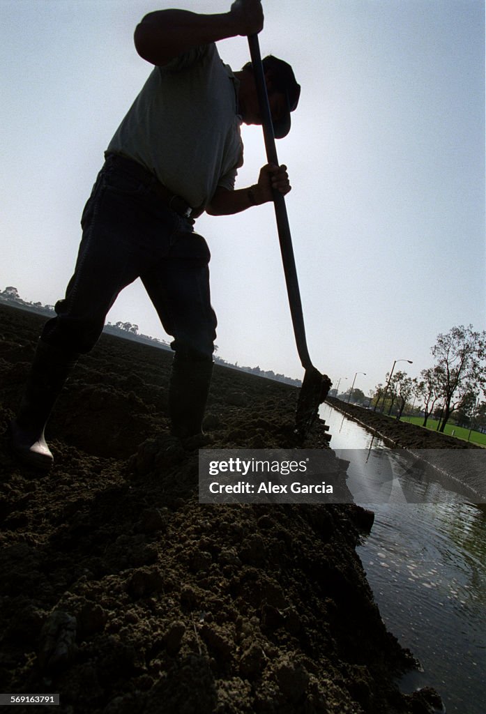 ME.weather.irrigation guy.AAGMario Duran digs an irrigation ditch for lima bean planting in a Cost