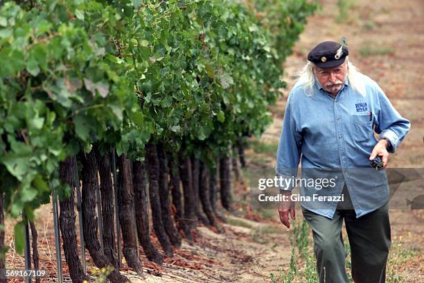 Vincenzo Cilurzo walks through his vineyard checking on the readiness of the petite sirah grapes at Cilurzo Vineyards in Temecula. Cilruzo planted...