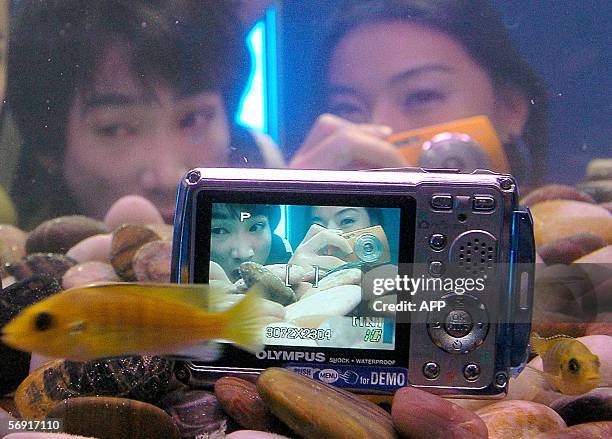 South Korean promoters look at Japanese carmera giant Olympus' new digital camera model, Mju-720, placed in an aquarium during a promotion event in...