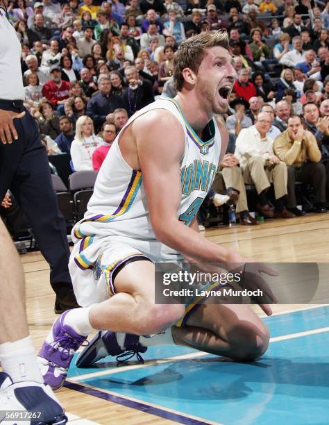 Jackson Vroman of the New Orleans/Oklahoma City Hornets holds his hurt wrist after dunking the ball against the Utah Jazz during a game on February...