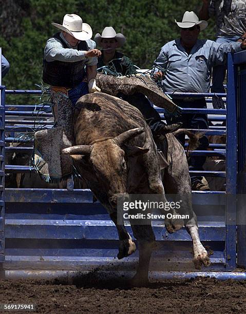 Russ Anderson hangs on at the start of a rough ride during the rodeo portion of Conejo Valley Days Saturday afternoon in Thousand Oaks. DIGITAL IMAGE...