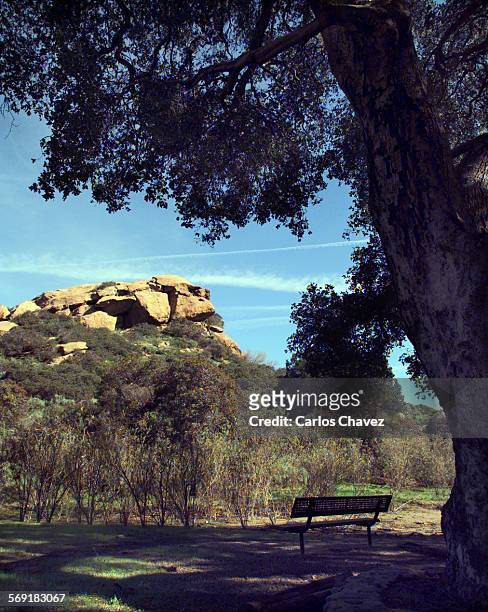 The Hanging Tree as named by movie makers in the western town of Corriganville still provides shade for visitor of the park in Simi Valley.