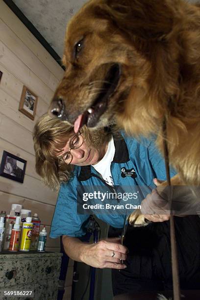 Victoria Rutt Victoria Rutten Photos and Premium High Res Pictures - Getty Images