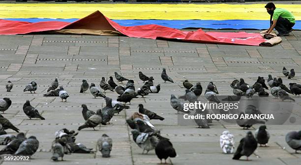 Un joven extiende una bandera colombiana el 23 de febrero de 2006 en la Plaza de Bolivar en Bogota, Colombia. La candidata presidencial Ingrid...