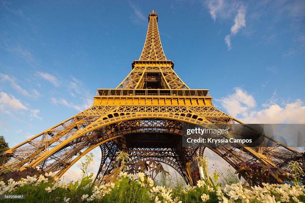 Eiffel Tower at summer afternoon