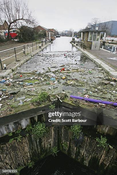 Rubbish floats in the River Lea near the site of the London 2012 Olympics in the East London borough of Stratford on February 24, 2006 in London,...