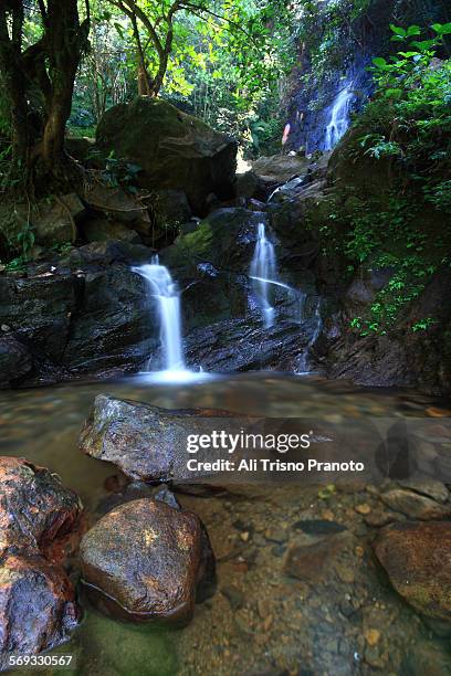 cilember waterfall in puncak pass west java - puncak pass stock pictures, royalty-free photos & images