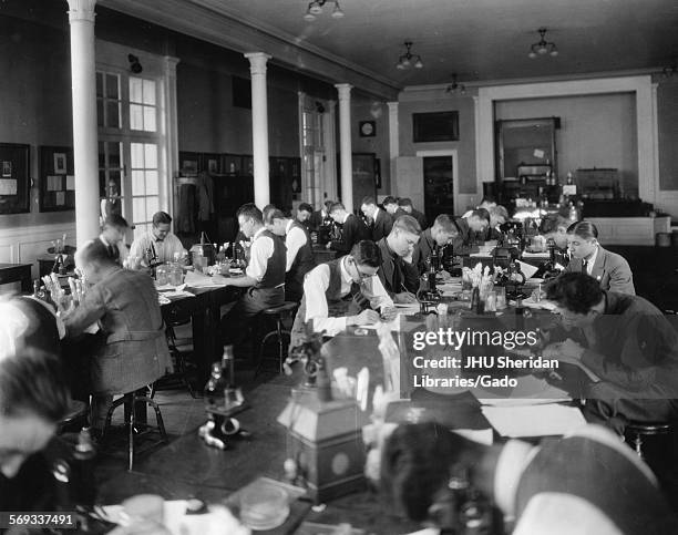 Classes in the Biology laboratories, Johns Hopkins University, Baltimore, Maryland, 1920.
