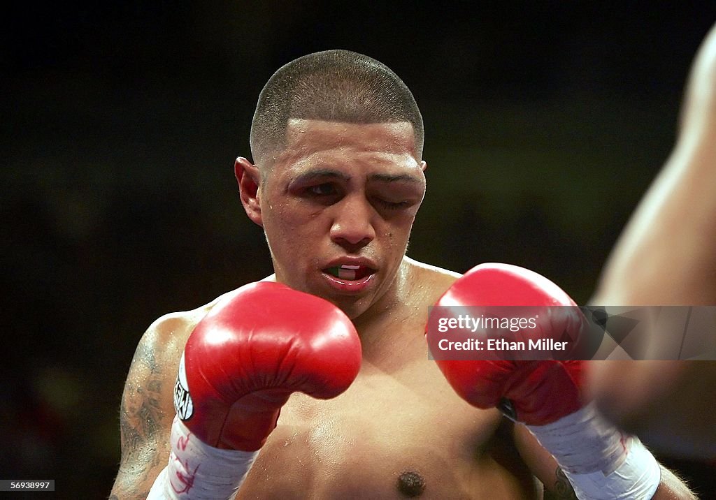 Fernando Vargas v Shane Mosley