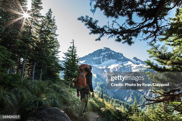 a hiker in front of mt. hood in the early morning - mt hood national forest fotografías e imágenes de stock