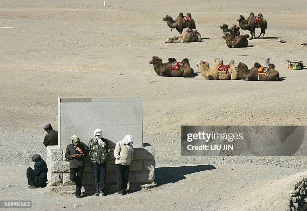 Stablemen wait for the tourists near the camels which is for rent to tourists' ride at the famed tourist attraction Jiayuguan Pass, in China's...
