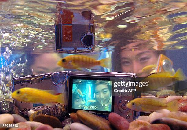 South Korean promoters look at Japanese carmera giant Olympus' new digital camera model, Mju-720, placed in an aquarium during a promotion event in...