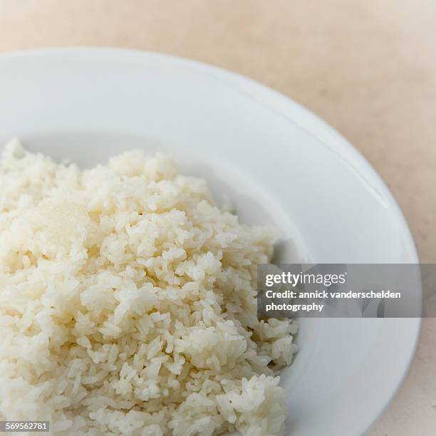 Hi Resolution Cooked Rice Cooked Sushi Rice Photos and Premium High Res Pictures - Getty Images