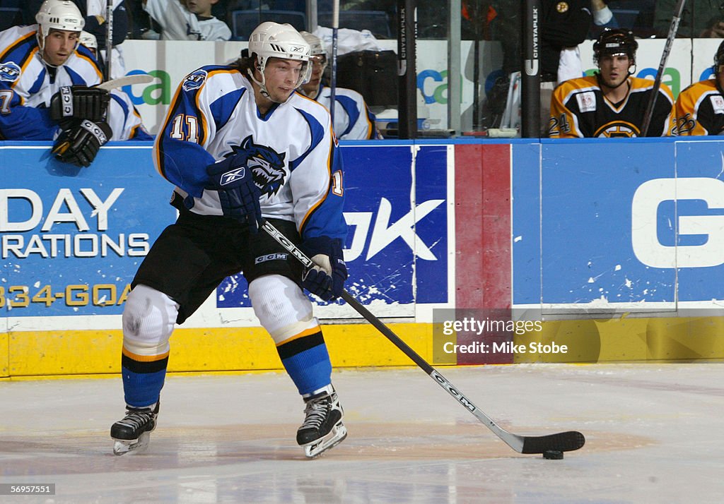 Providence Bruins v Bridgeport Sound Tigers