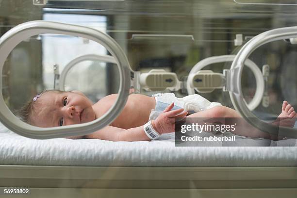 newborn baby boy in an incubator - incubator imagens e fotografias de stock